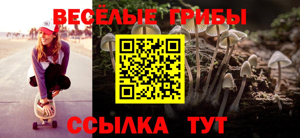 Галлюциногенные грибы Magic Shrooms Новороссийск