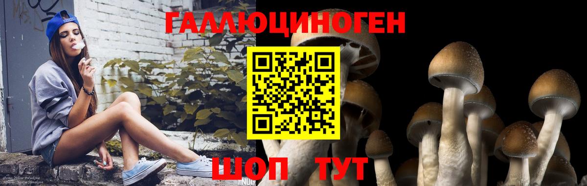 Псилоцибиновые грибы Psilocybine cubensis  Вход с VPN  Псилоцибиновые грибы Psilocybine cubensis  Новороссийск 